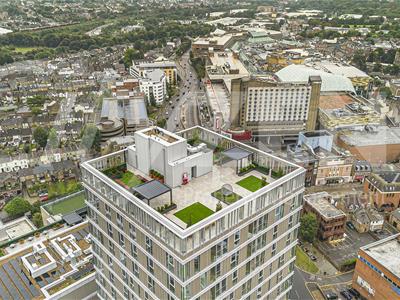 THE CLARENDON